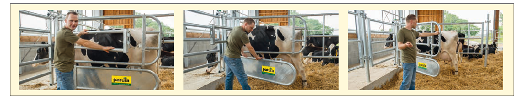 Abtrennung für Tierbehandlung