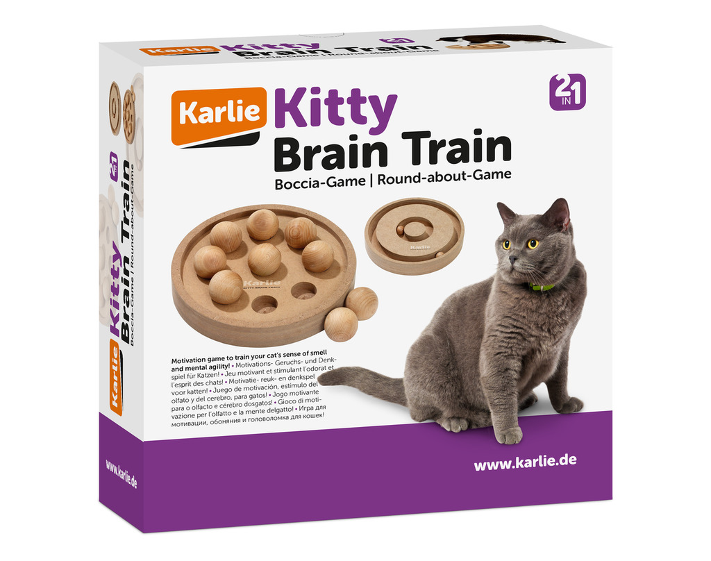 Kitty Brain Train, 2-seitig