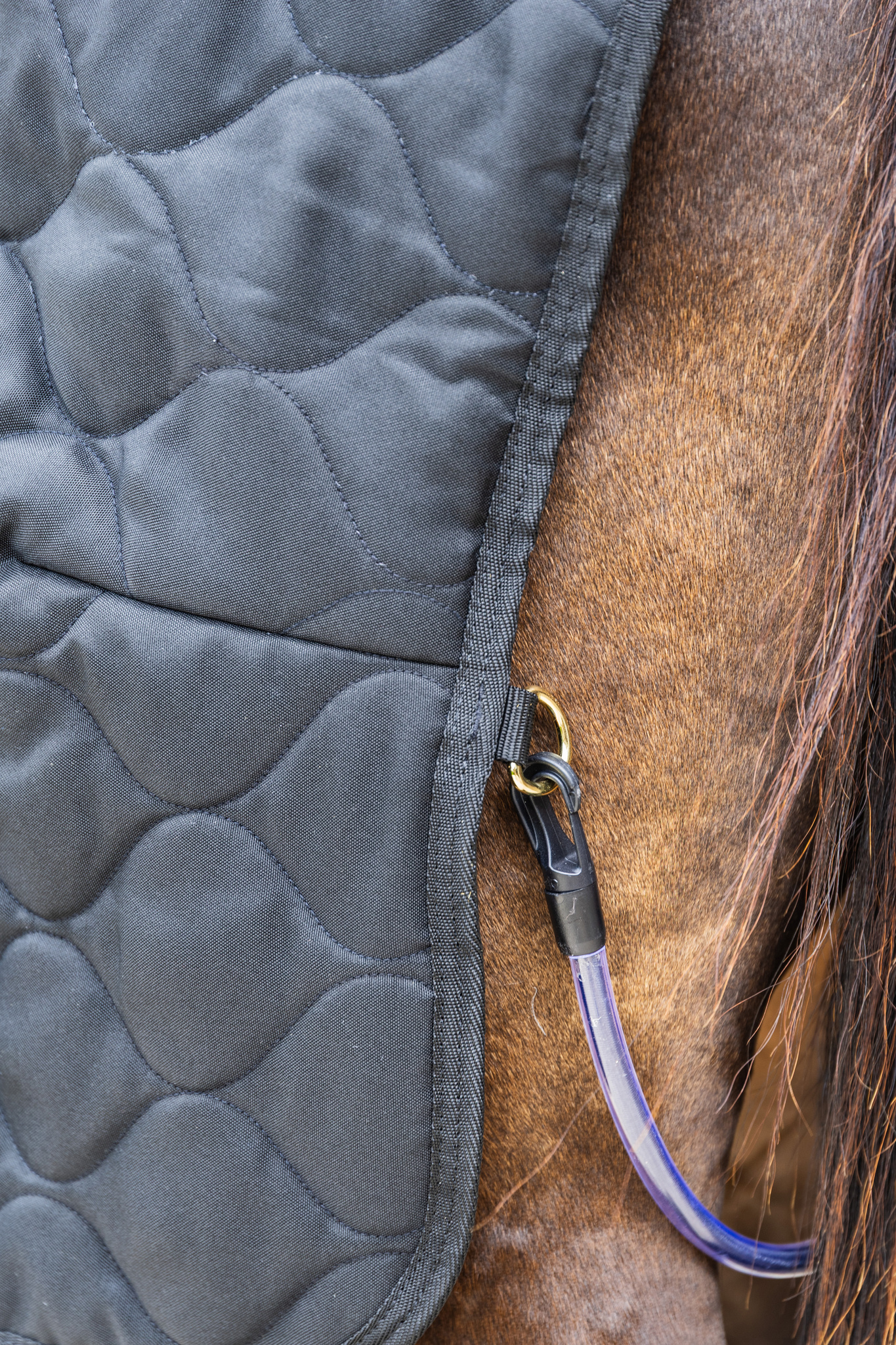 KENTUCKY® HORSEWEAR Stalldecke Comfort 200 g, schwarz Detailansicht der schwarzen Stalldecke Comfort mit gestepptem Muster und Befestigung für die Schweifkordel am Pferd.
