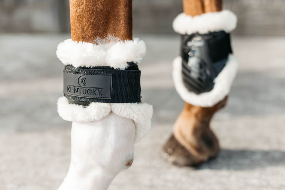 KENTUCKY® HORSEWEAR vegane Lammfell-Streichkappe Young Horse, schwarz