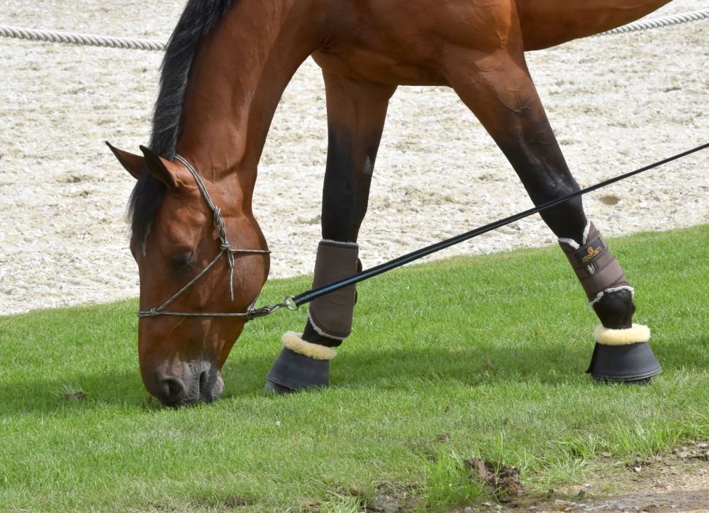 KENTUCKY® HORSEWEAR Gamasche Solimbra vorne, braun