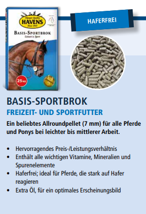 HAVENS Basis-Sportbrok BigBox