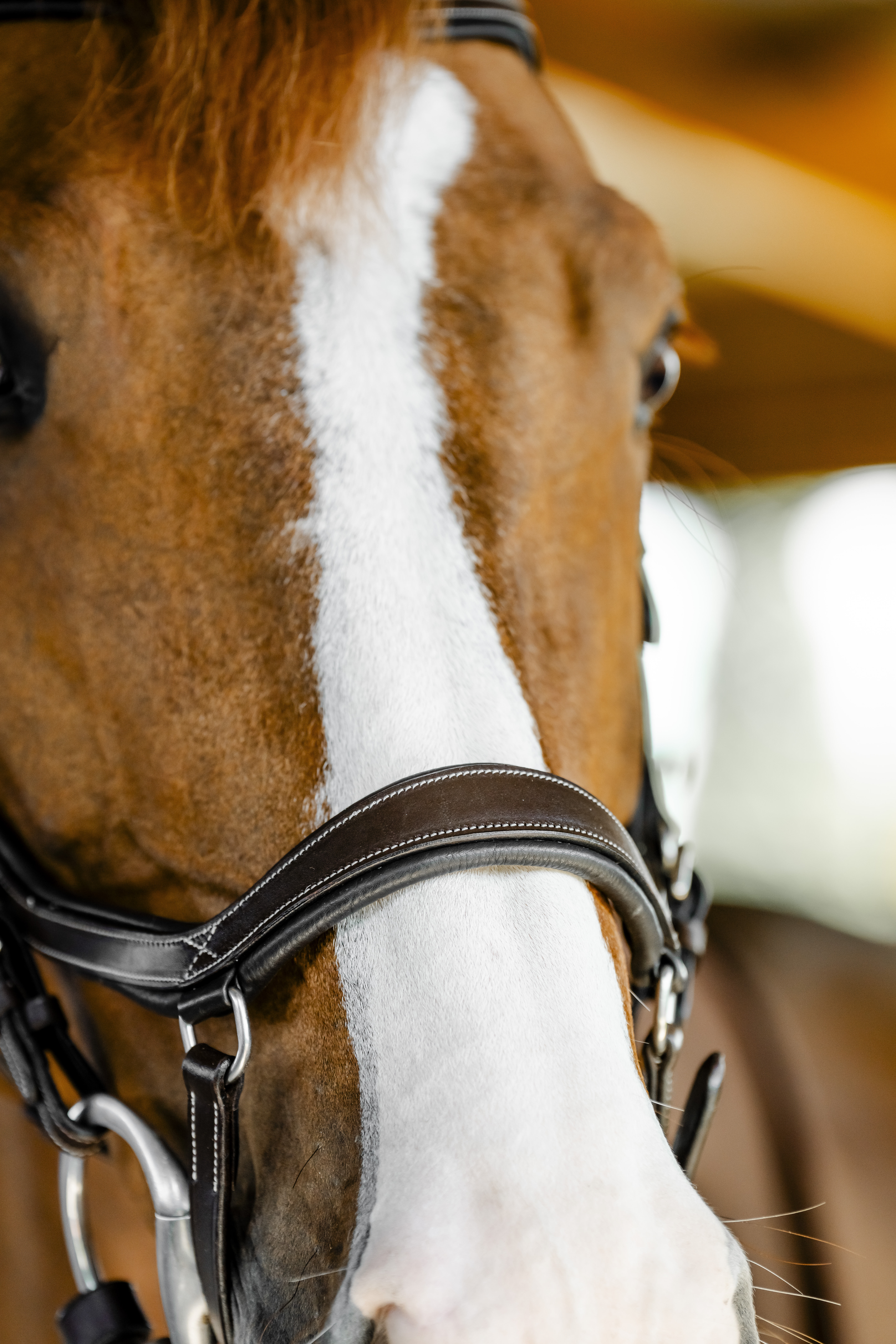 HORSEWARE® Micklem® Competition Bridle, dark havana Nahaufnahme des Micklem Competition Bridle in Dark Havana aus Leder am Kopf eines Pferdes mit weißer Blesse.