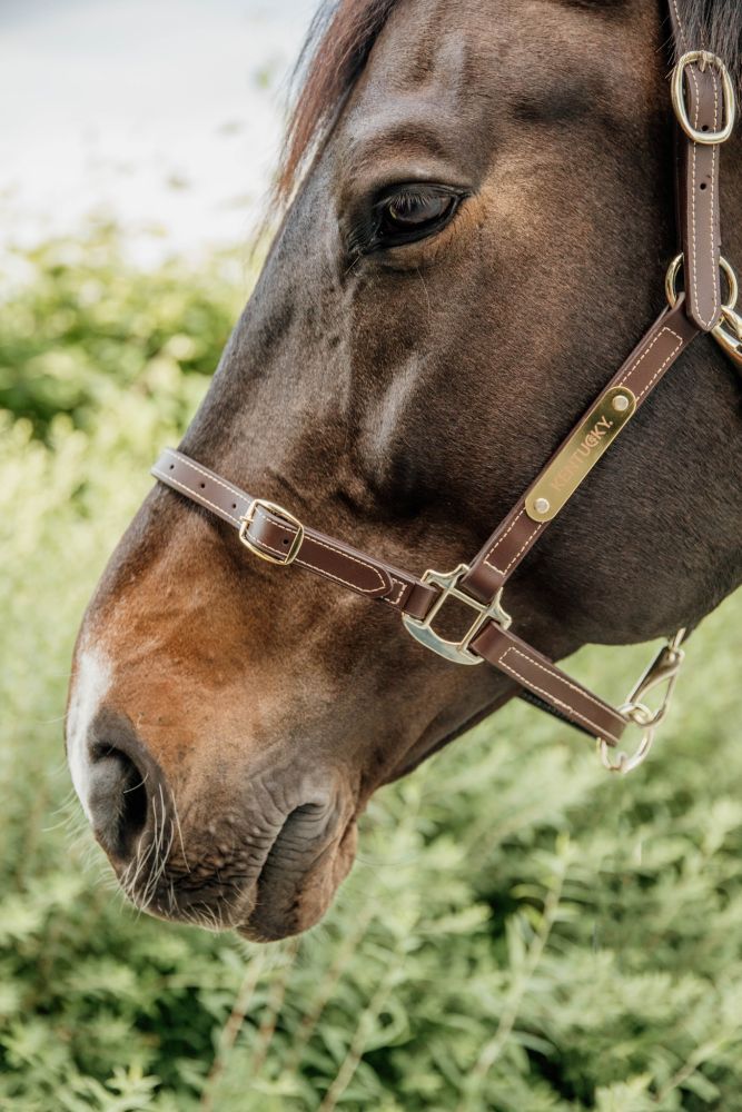 KENTUCKY® HORSEWEAR Lederhalfter flexibel