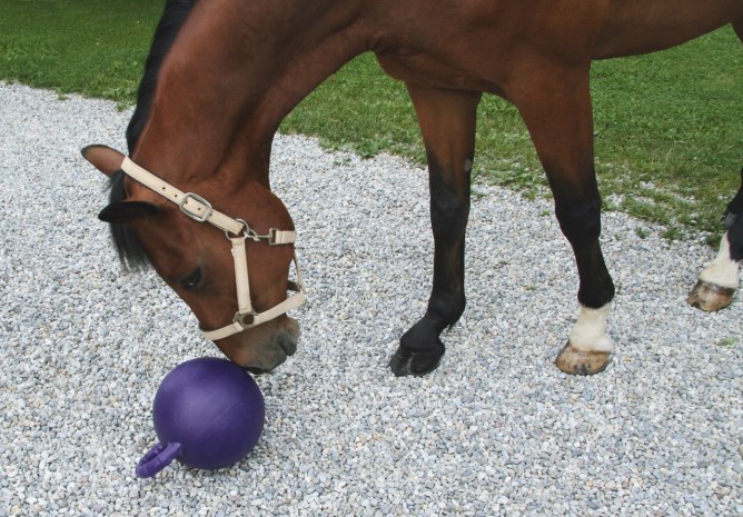 KERBL Pferdespielball lila mit Minzgeschmack