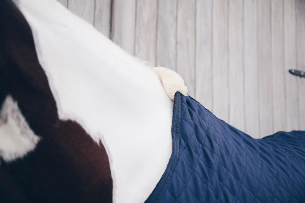 KENTUCKY® HORSEWEAR Walker Rug
