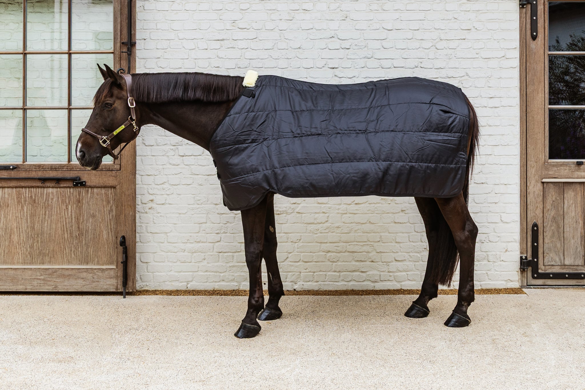 KENTUCKY® HORSEWEAR Turnout Rug Comfort Liner Pro 400g, schwarz Ein braunes Pferd trägt in Seitenansicht die schwarze gesteppte Unterdecke Comfort Liner Pro mit Widerristpolster.