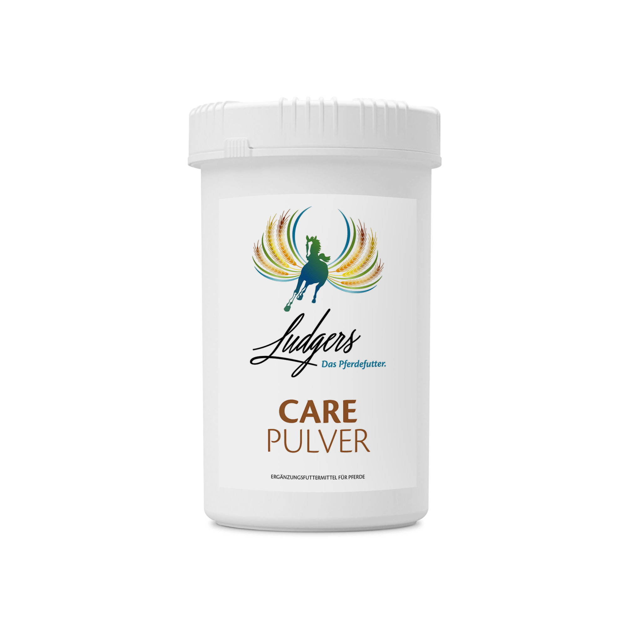 LUDGERS N CARE | PULVER