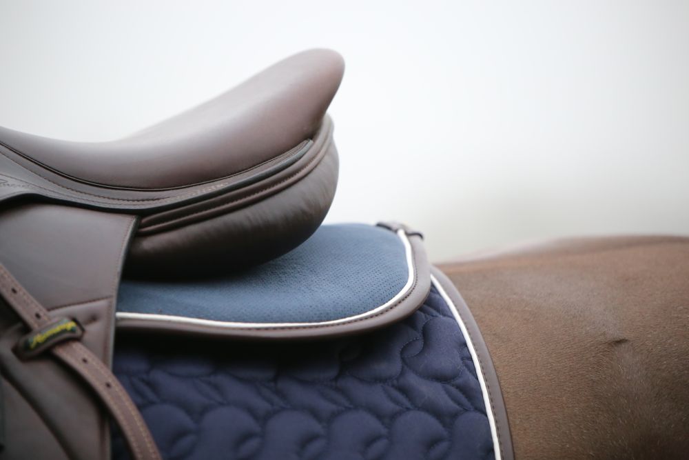 KENTUCKY® HORSEWEAR Sattelpad Anatomic Absorb, marine/weiß/braun