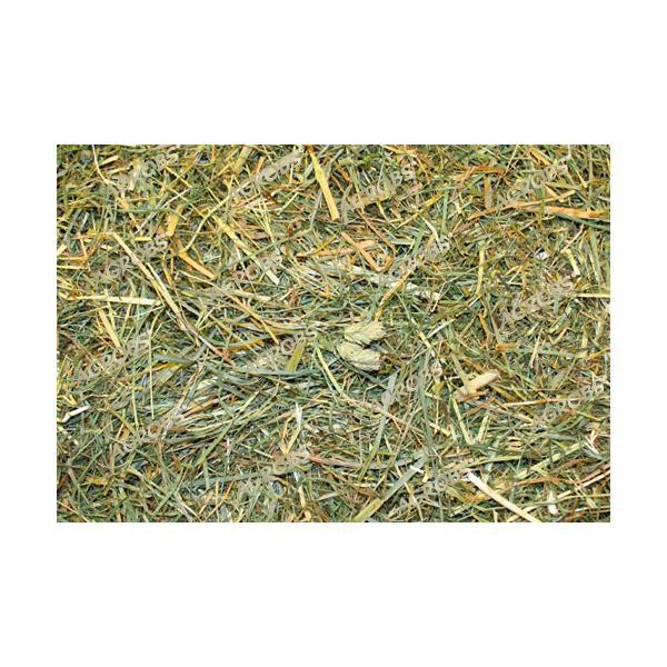 AGROBS AlpenHeu