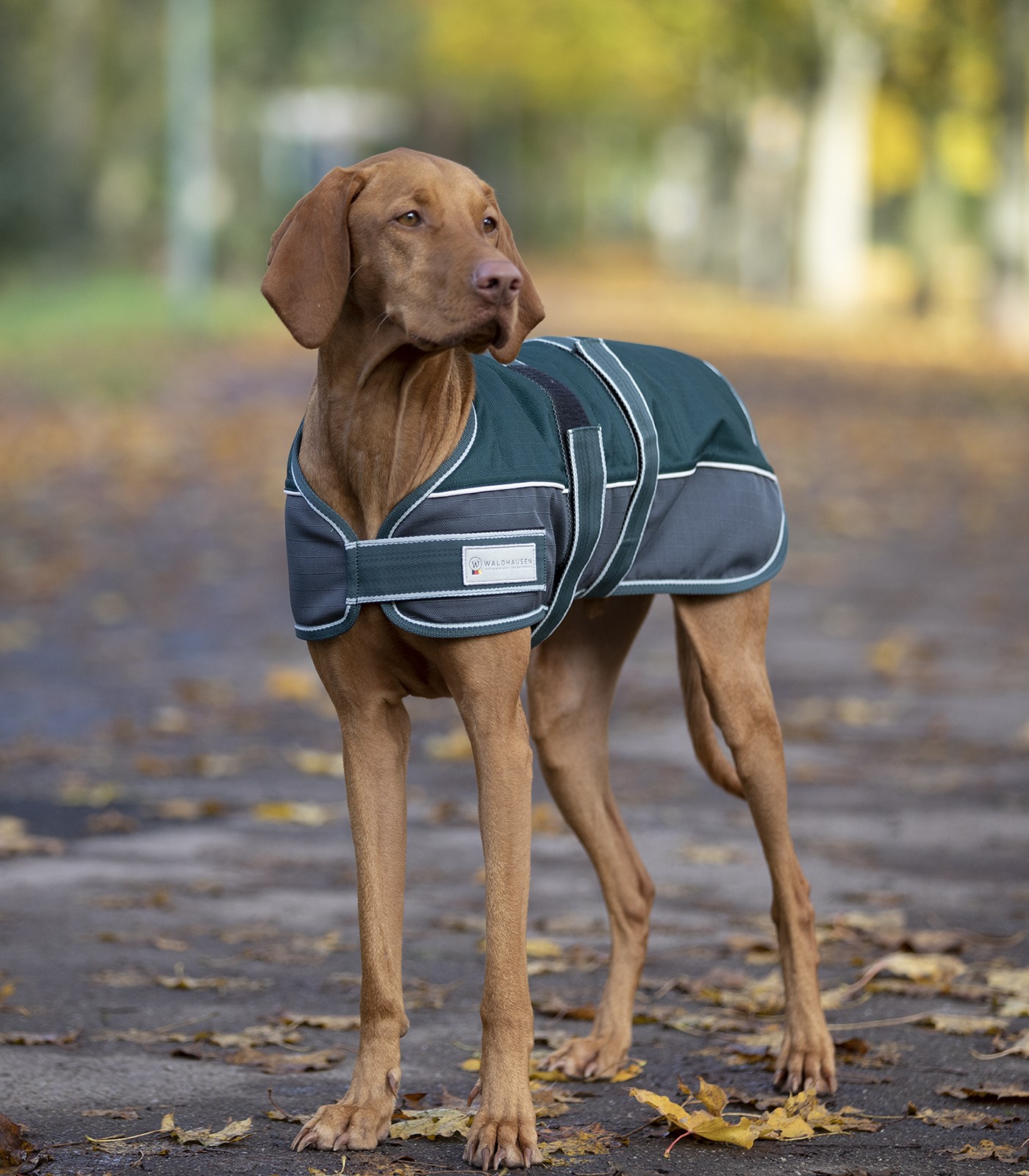 WALDHAUSEN Comfort Hundedecke, 200g