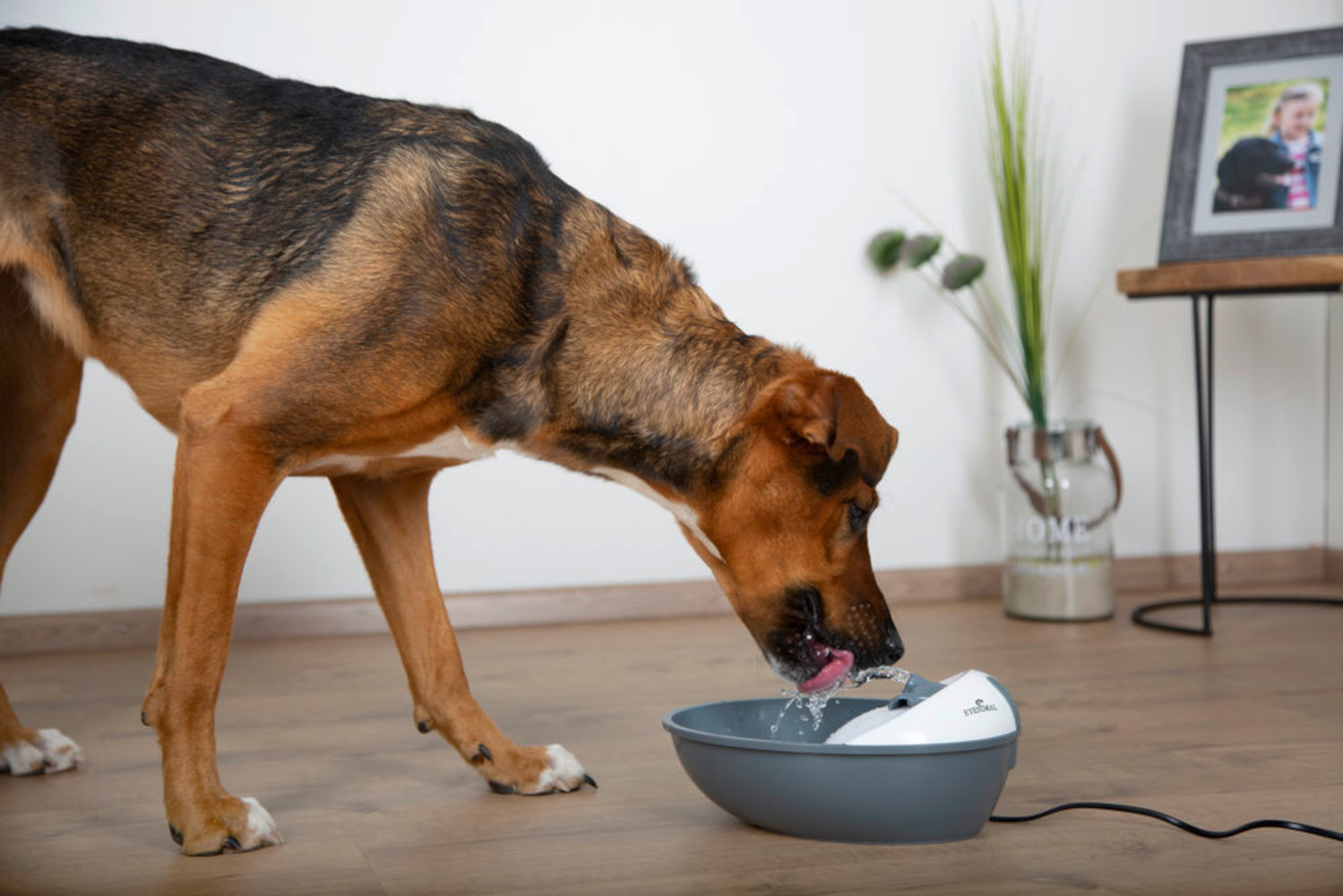 KERBL Classic Pet Fountain Trinkbrunnen