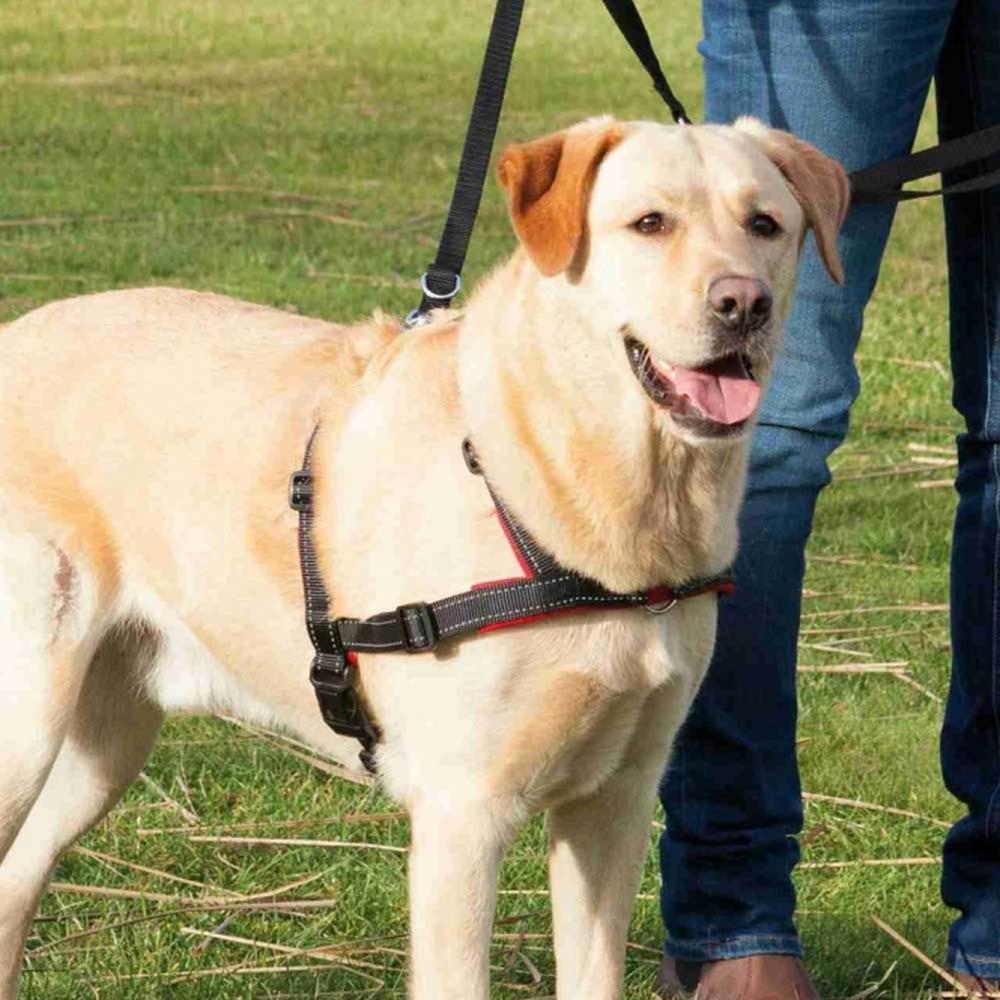 TRIXIE Trainingsgeschirr Lead'n'Walk Soft