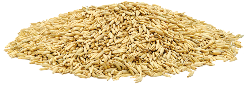 NÖSENBERGER Wetterauer Landhafer