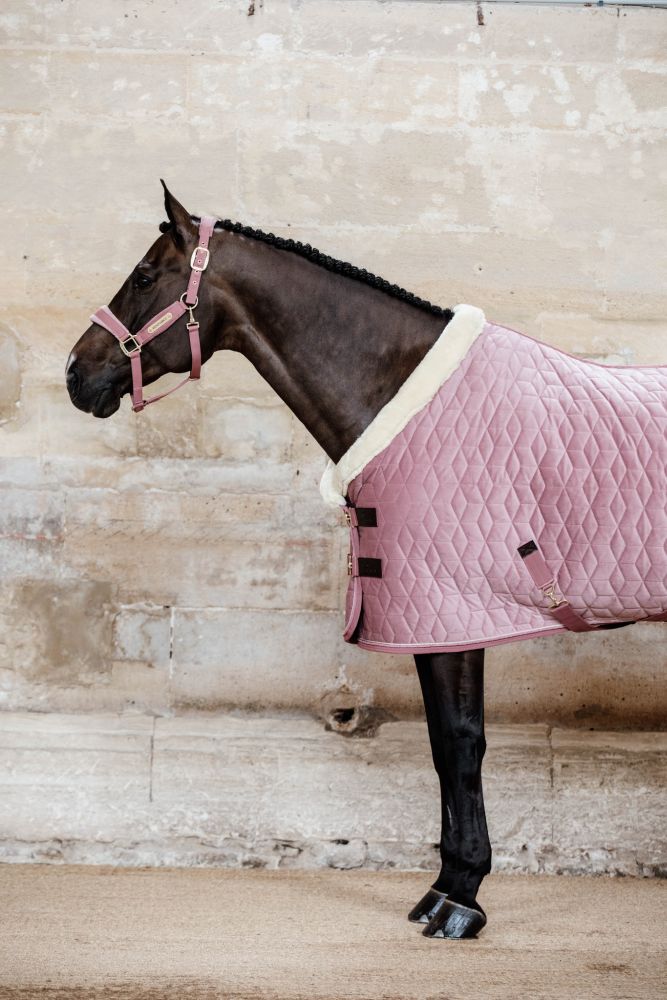 KENTUCKY® HORSEWEAR Velvet Halfter, altrosa