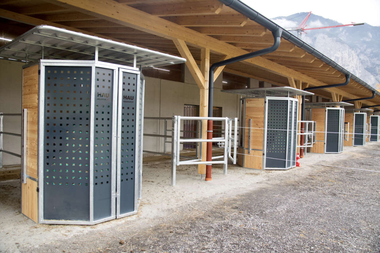 HAU Heudepot für Rundballen mit Zeitsteuerung für 4 Fressplätze