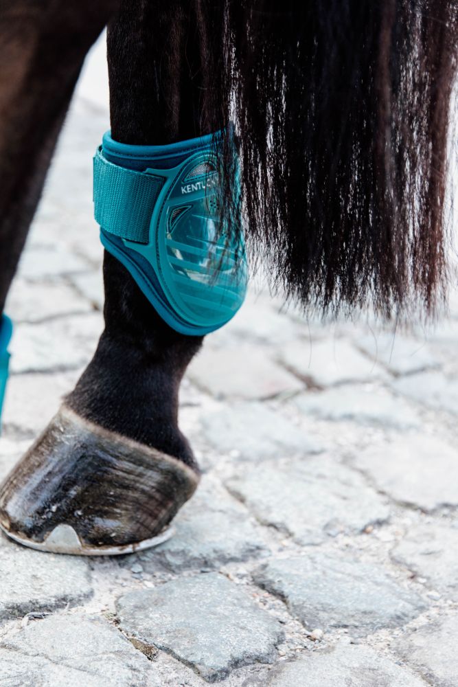 KENTUCKY® HORSEWEAR Streichkappe Young Horse, smaragdgrün