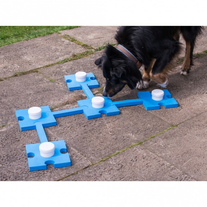 PROCYON Schnüffelspaß in blau