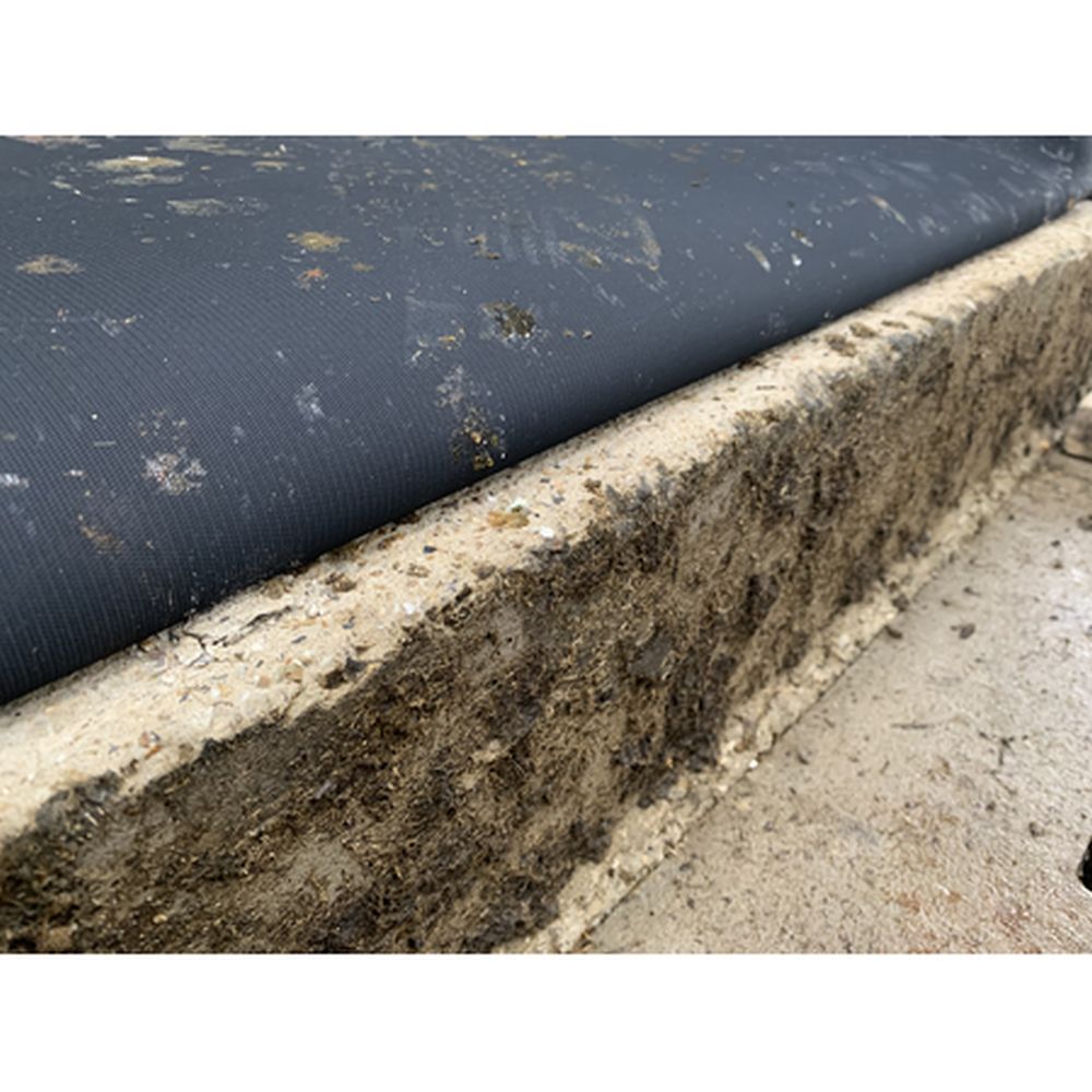 PATURA Kuhmatratze Latex Breite: 1,00 m; Tiefe: 1,70 m 