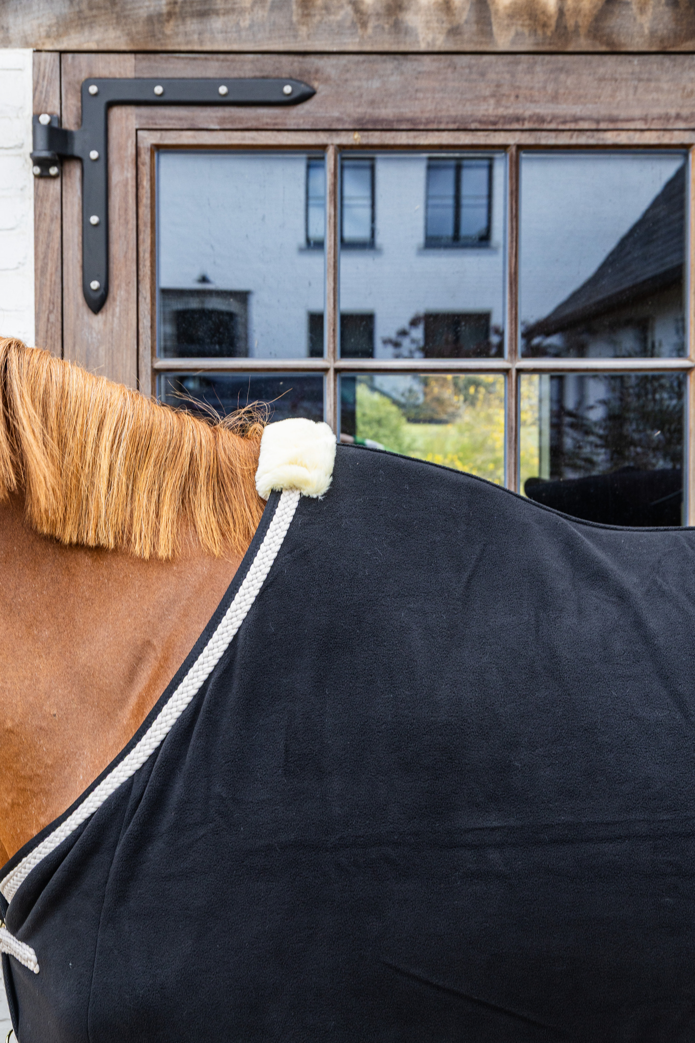 KENTUCKY® HORSEWEAR Abschwitzdecke Fleece geflochtene Kordel, schwarz Schwarze Abschwitzdecke aus Fleece mit weißer geflochtener Zierkordel und weichem Widerristpolster am Pferd.