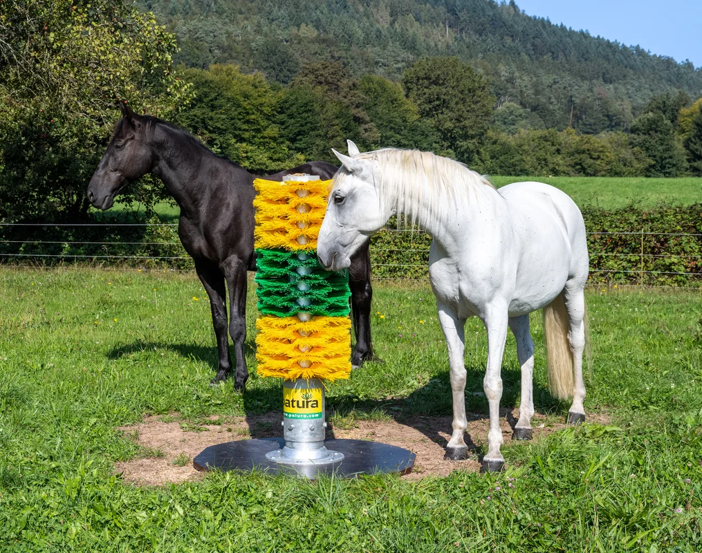 PATURA Pfahlbürste Maxi