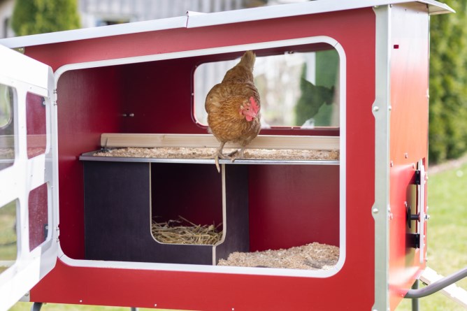 KERBL Mobile Coop aus Holz