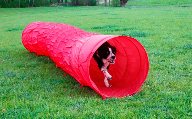 KERBL Agility Hundetunnel rot, 5m, 60cm