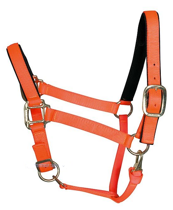 WESTERN IMPORTS® Tuff Stuff Halter, orange