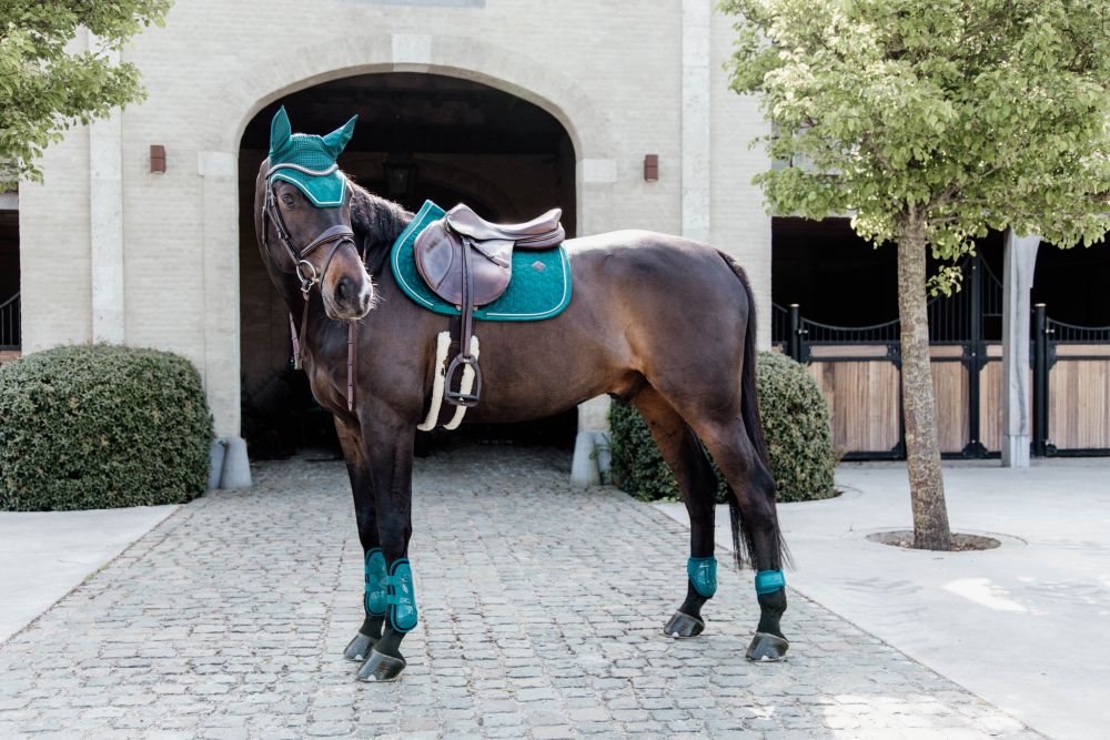 KENTUCKY® HORSEWEAR Springgamasche Bamboo Elastic, smaragdgrün