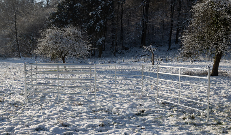 STALLBEDARF24 Weidepanel - Höhe: 1,70 m