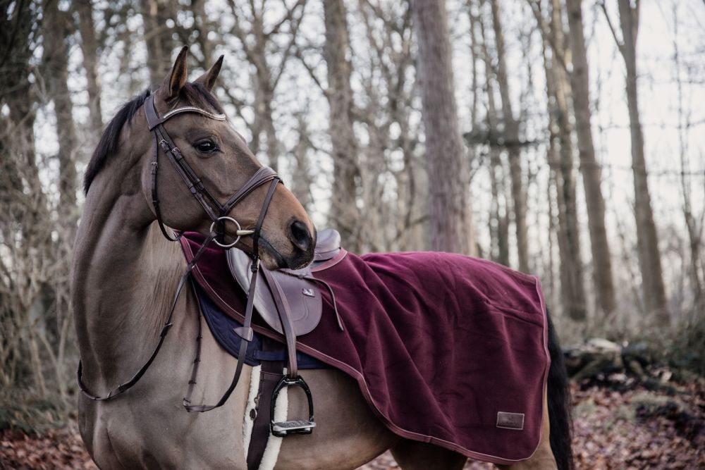 KENTUCKY® HORSEWEAR Ausreitdecke Heavy Fleece, bordeaux