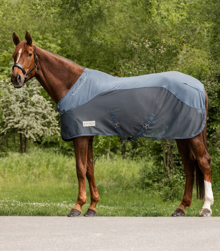 WALDHAUSEN COMFORT Fleece-Fliegendecke, kreideblau Braunes Pferd in Seitenansicht trägt die COMFORT Fleece Fliegendecke in Kreideblau mit Netz-Einsatz.