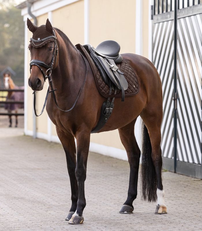 WALDHAUSEN Fliegenohren Nepal, braun Ein braunes Pferd, gesattelt und gezäumt, trägt die braunen, gehäkelten WALDHAUSEN Fliegenohren Nepal.