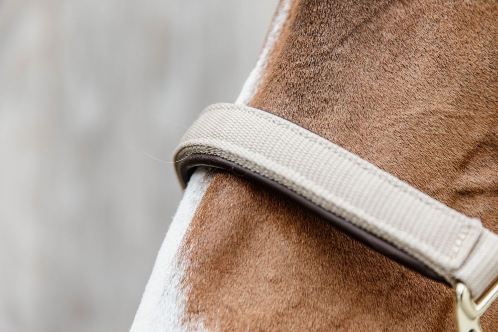 KENTUCKY® HORSEWEAR Anatomic Nylon Halfter, beige