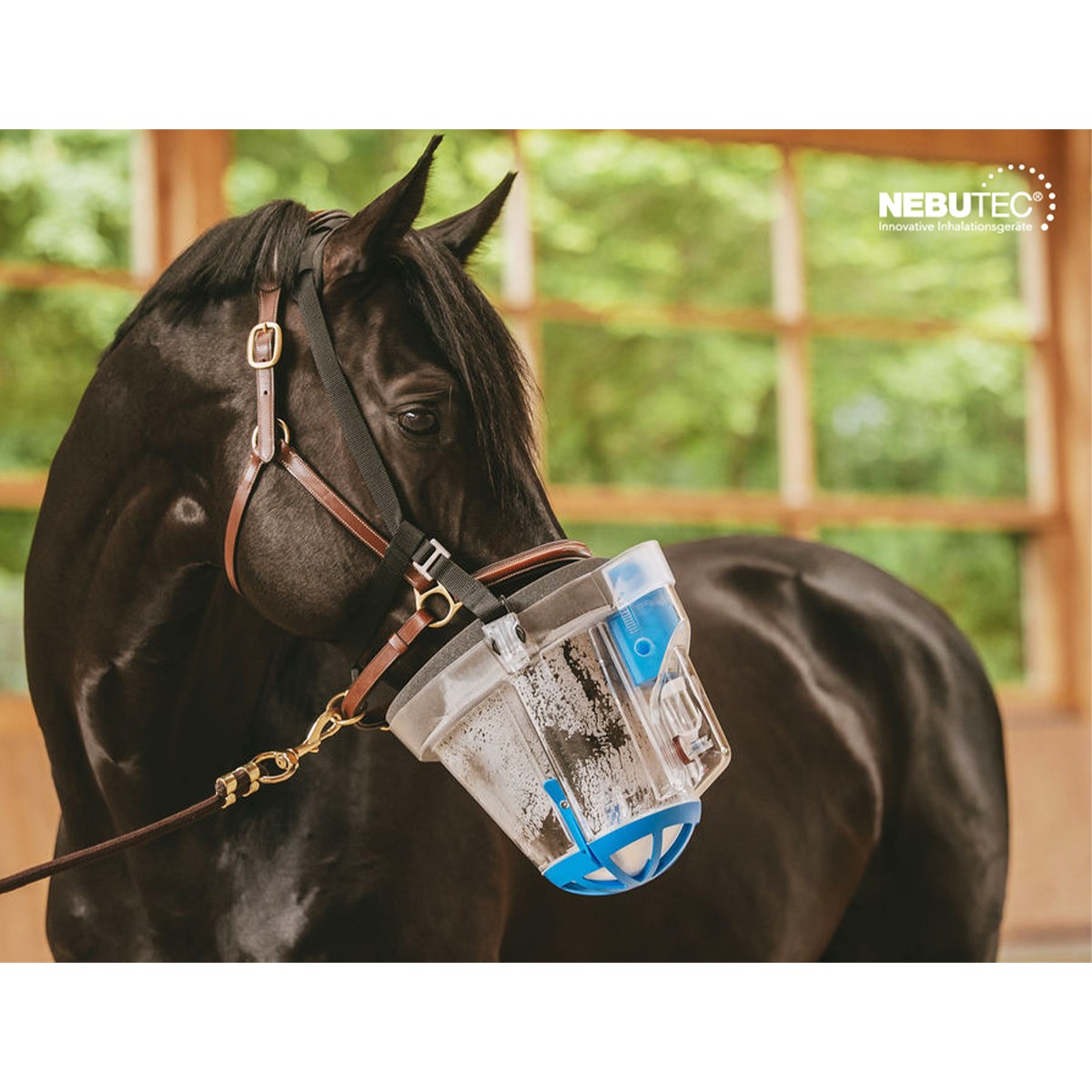 NEBU-TEC® SaHoMa-II Inhalationsset für Pferde