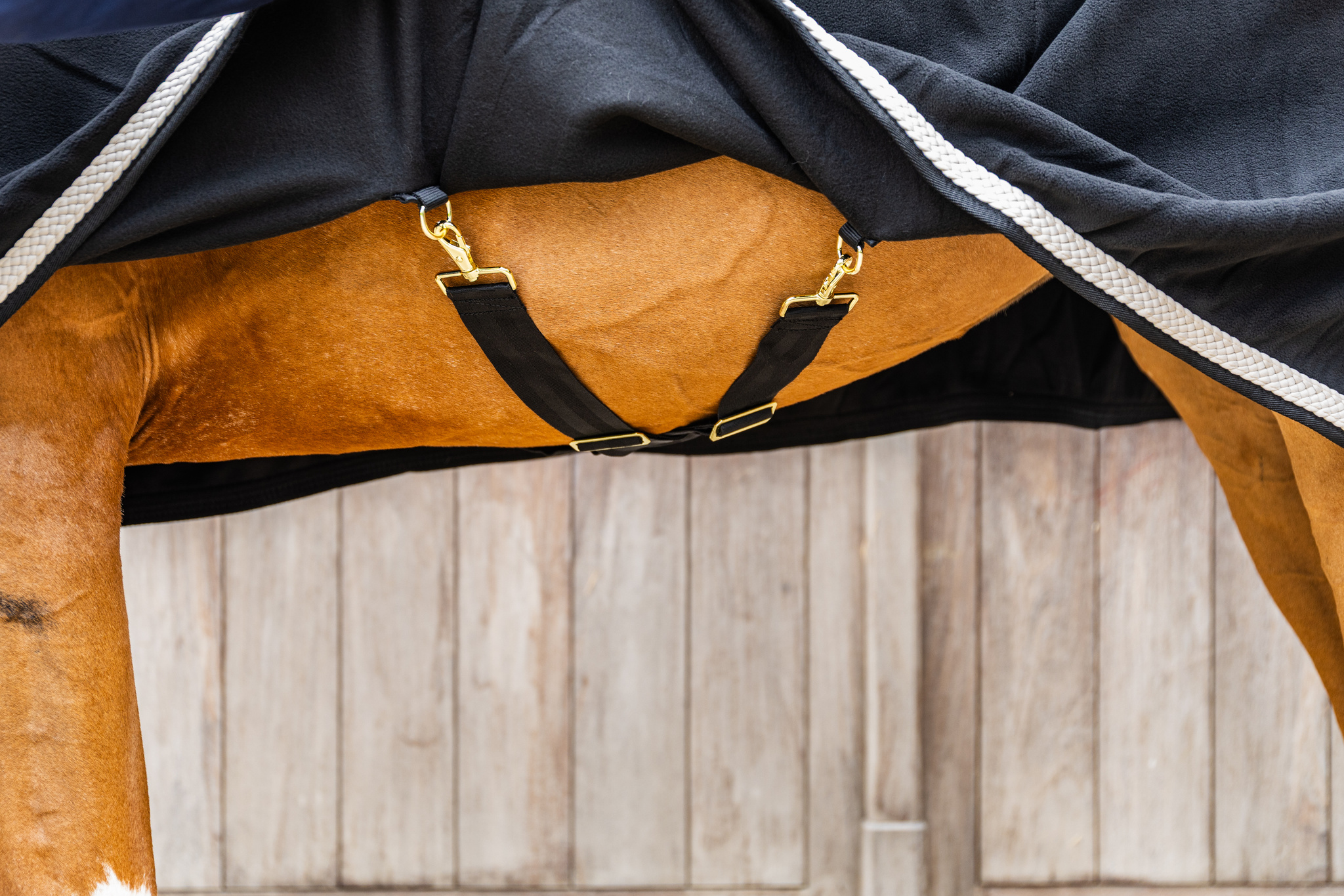 KENTUCKY® HORSEWEAR Abschwitzdecke Fleece geflochtene Kordel, schwarz Schwarze Fleece-Abschwitzdecke mit weißer Kordel und verstellbarer Kreuzbegurtung mit goldenen Verschlüssen.