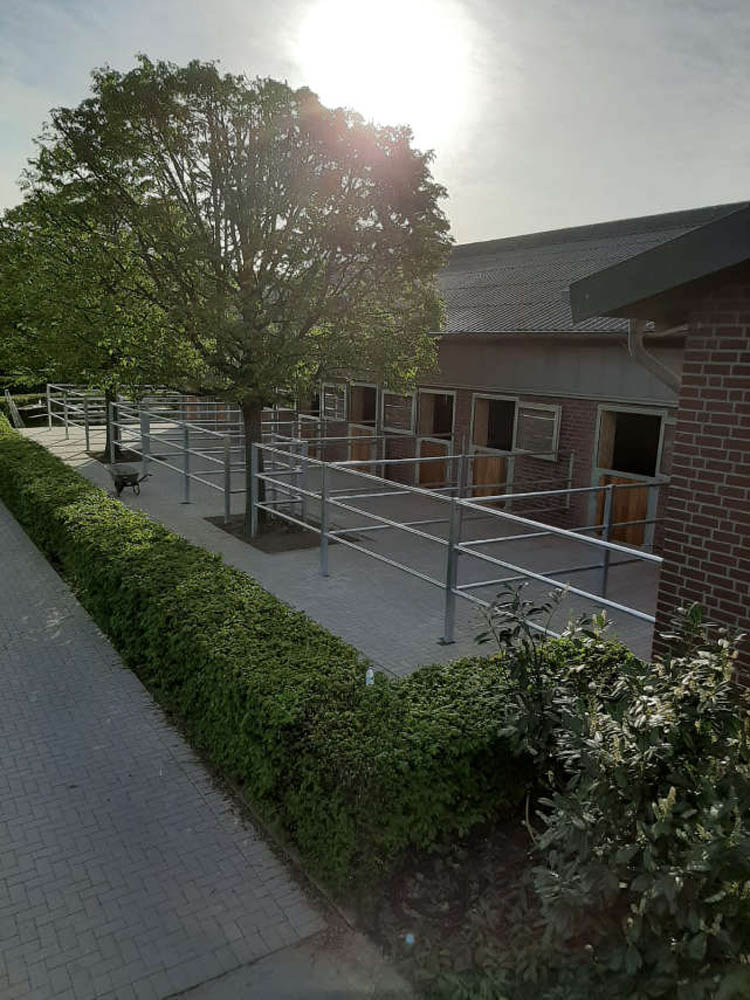 HAU Paddockelement, Höhe: 110 cm