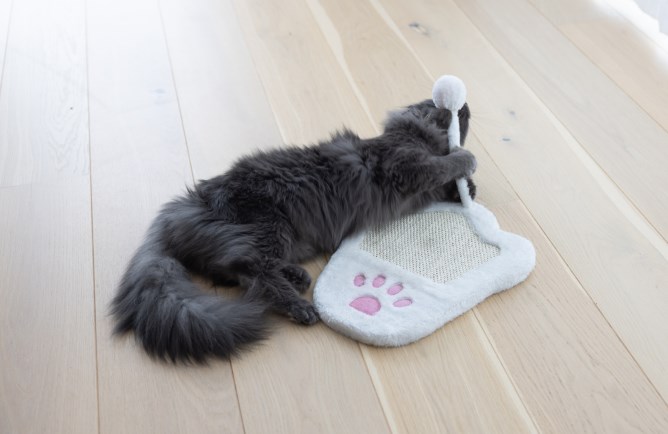 KERBL Kratzbrett Paw, 36 x 31cm, weiß/pink