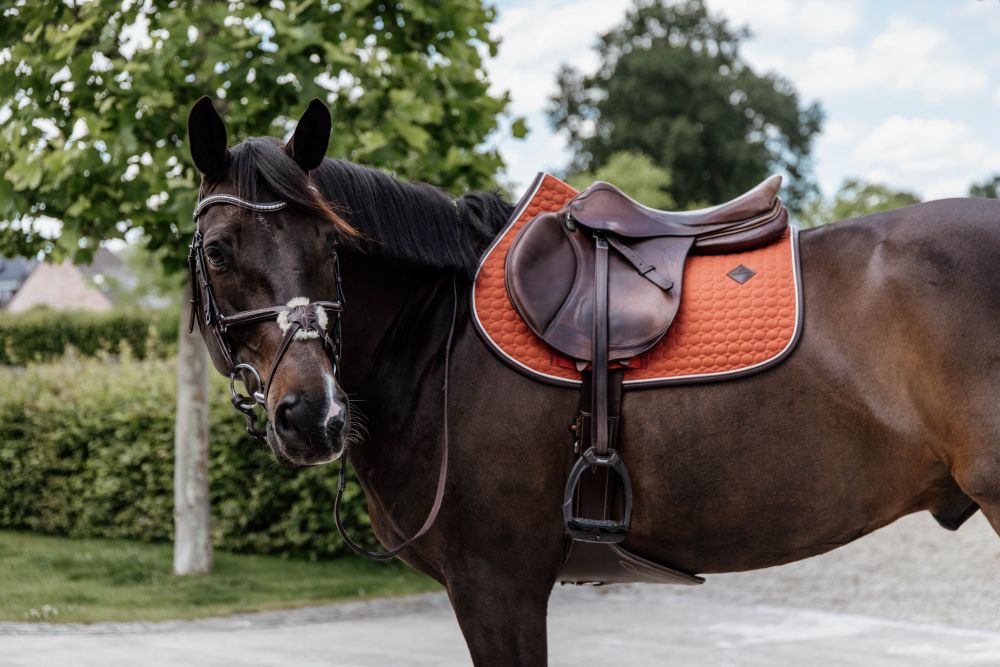 KENTUCKY® HORSEWEAR Schabracke Classic Leder Springen, orange