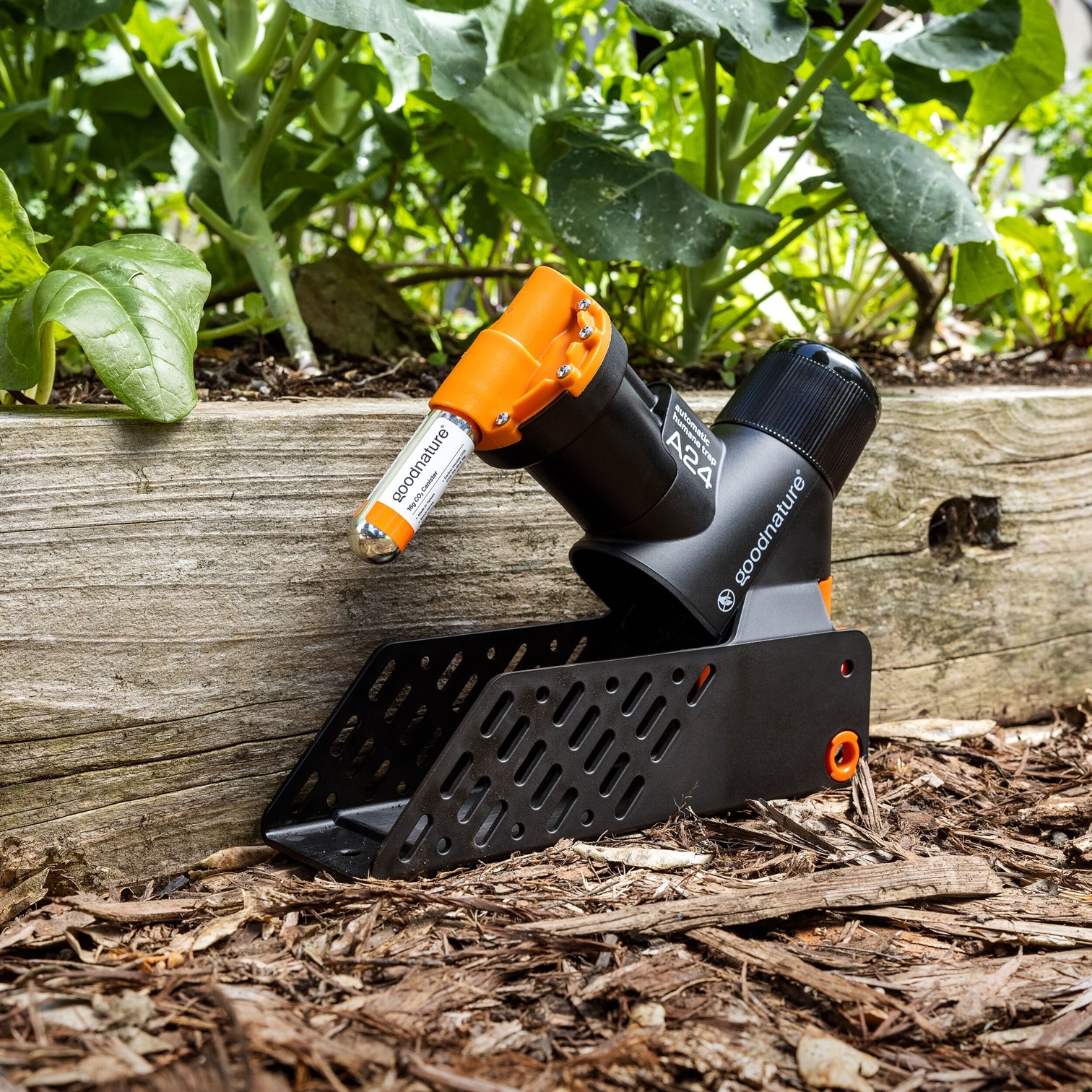 GOODNATURE® Smart Ratten- und Mausefallenset