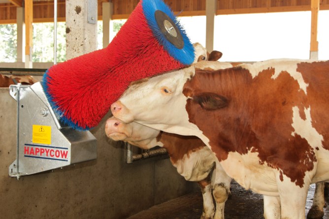 HAPPYCOW Kuhputzmaschine Uno 
