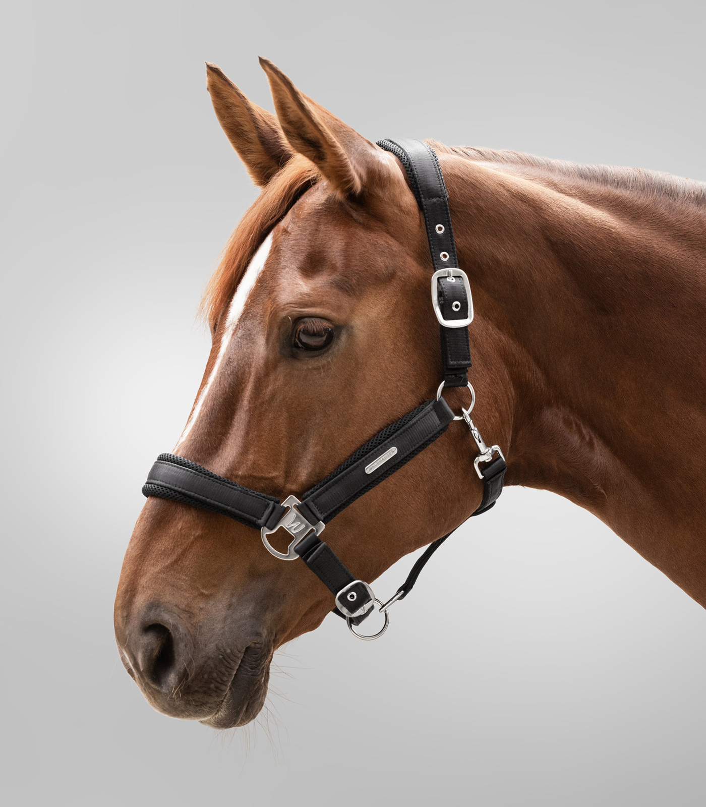 WALDHAUSEN Halfter Breath, schwarz