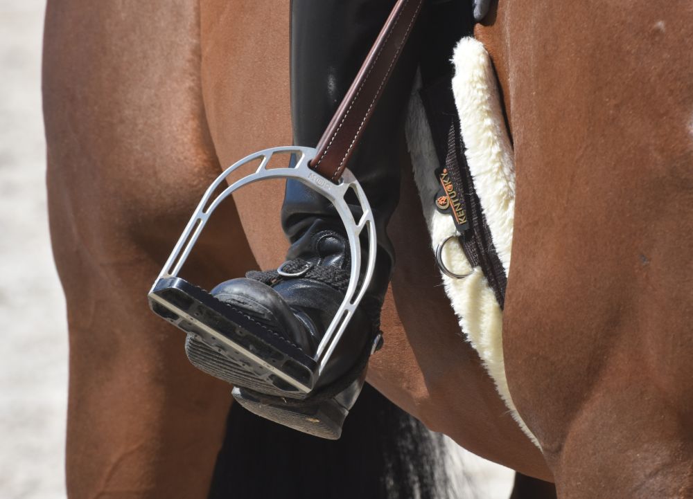 KENTUCKY® HORSEWEAR Lammfell Sattelgurt, schwarz