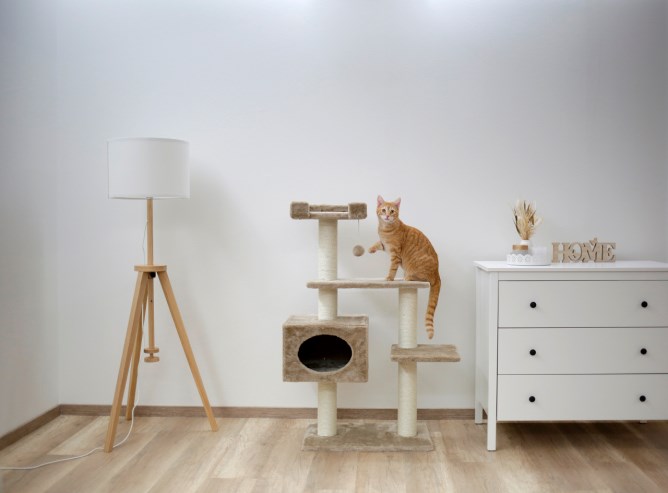 KERBL Katzenkratzbaum Emmy beige, 58x38x121 cm