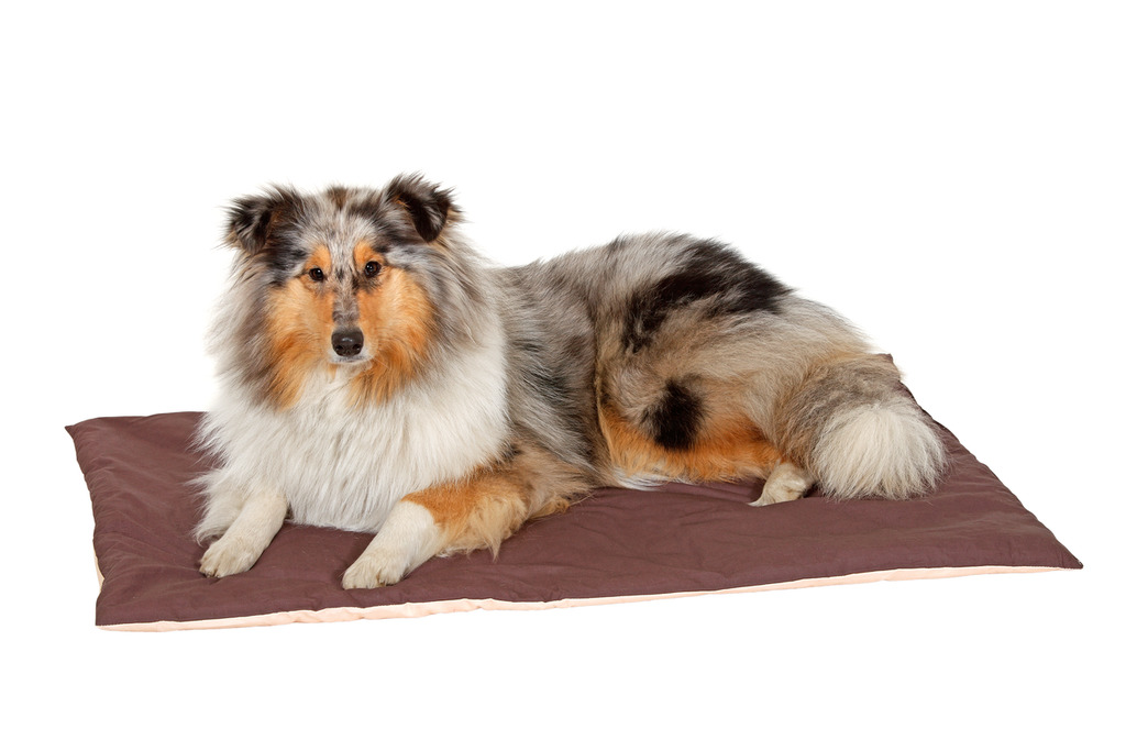 Liegedecke Doc Bed