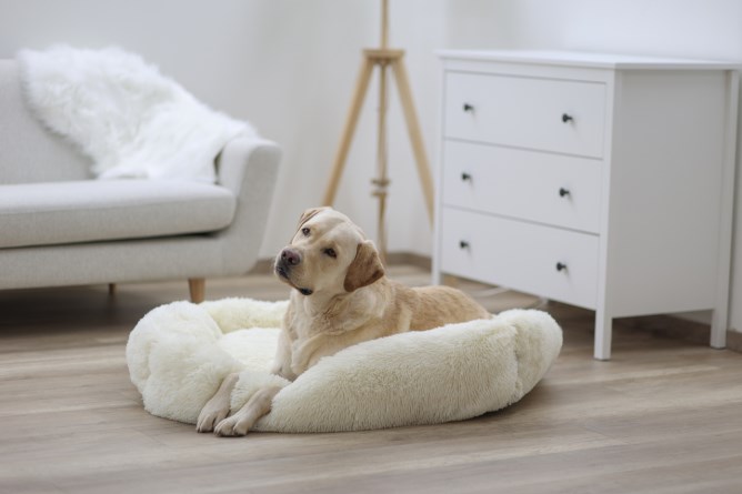 KERBL Kuschelbett Fluffy, creme