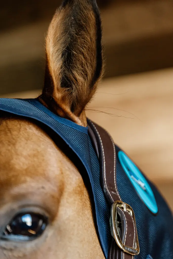 KENTUCKY® HORSEWEAR Magnetic Recuptex Nackenschutz 