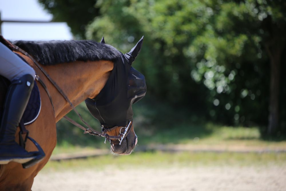 KENTUCKY® HORSEWEAR Fliegenmaske Slim Fit