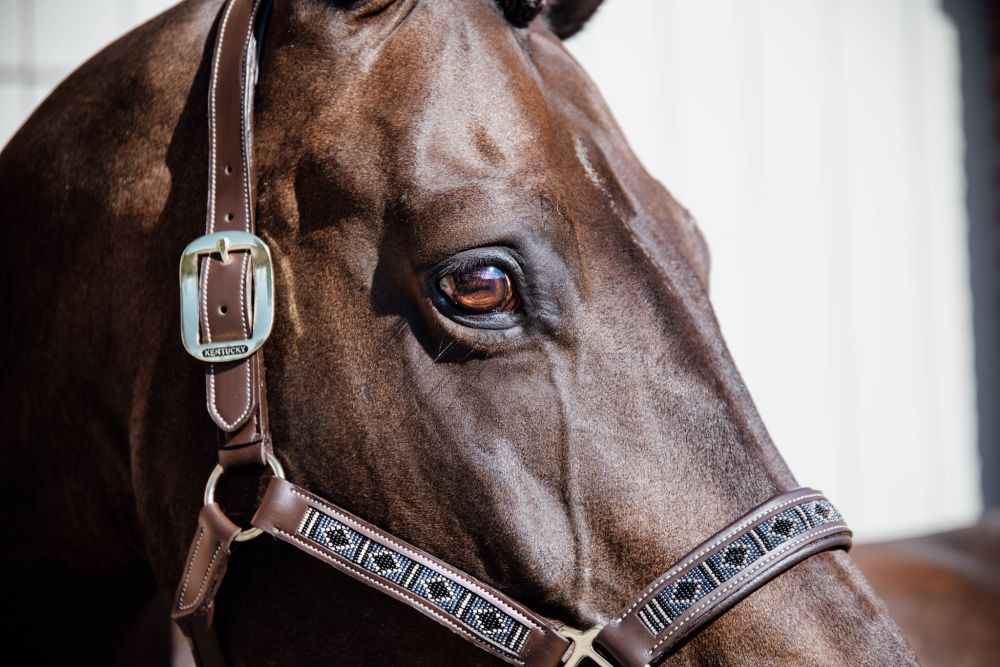 KENTUCKY® HORSEWEAR Pearls Halfter, silber