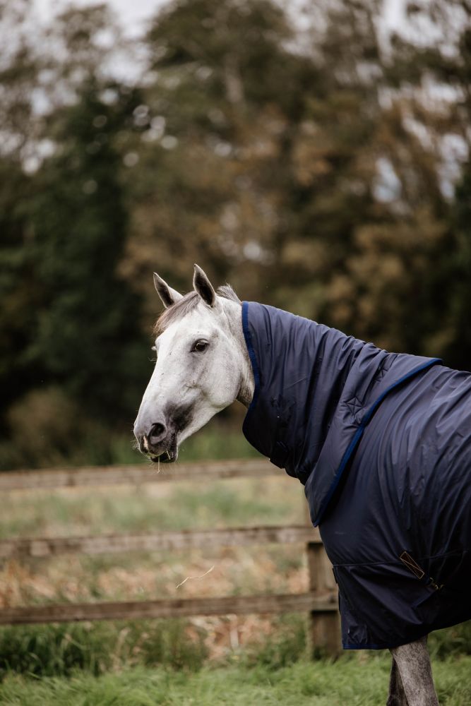 KENTUCKY® HORSEWEAR Halsteil All Weather Hurricane 150 g 
